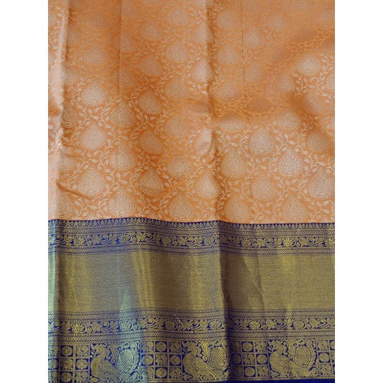Kanchi Pattu Bridal Wear Kanchi Pattu Bridal Wear