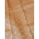 Kanchi Pattu Bridal Wear Kanchi Pattu Bridal Wear