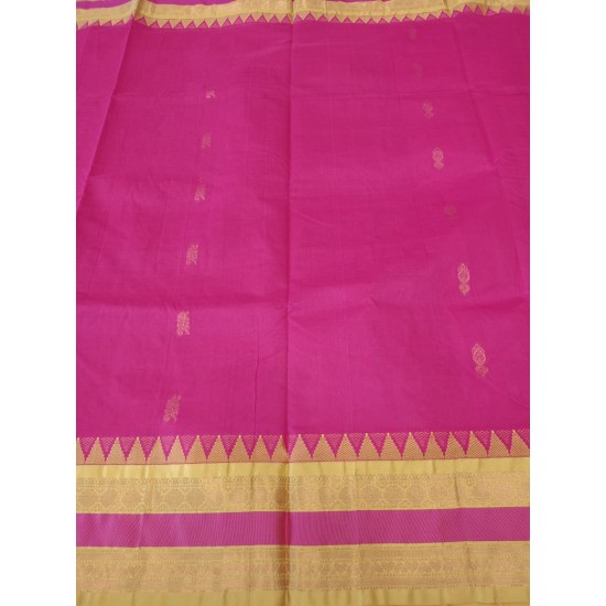 Cotton saree