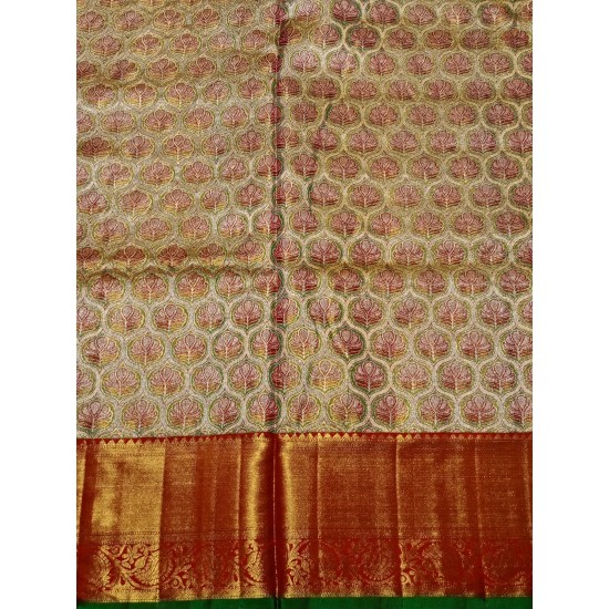 Kanchi Pattu Bridal Wear Kanchi Pattu Bridal Wear