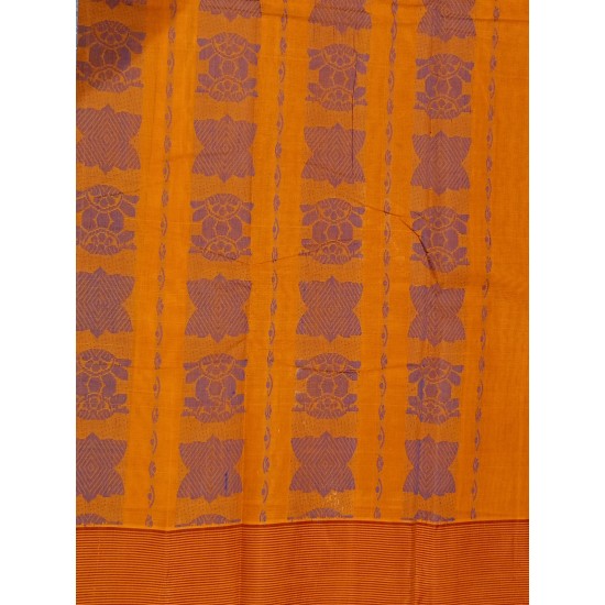 kanchi cotton saree