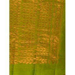 kanchi cotton saree