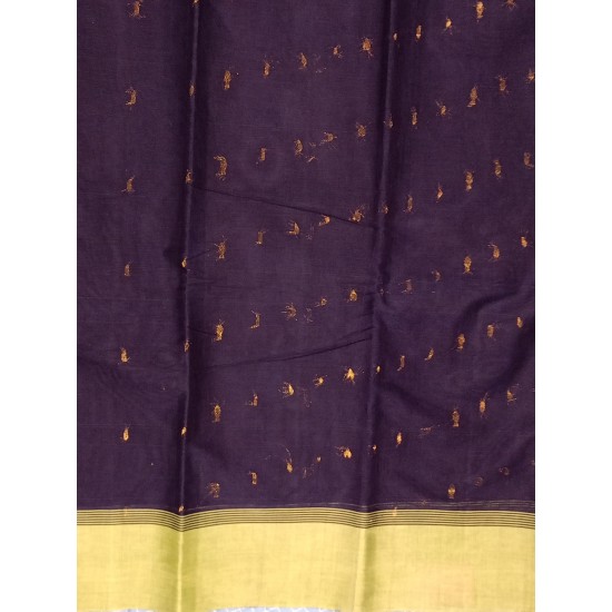 kanchi cotton saree