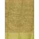 kanchi cotton saree