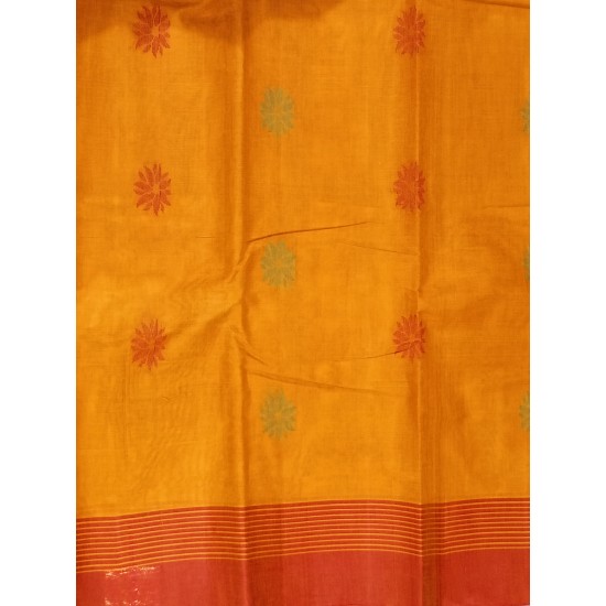 kanchi cotton saree