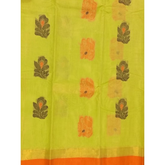 kanchi cotton saree