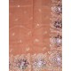 Organza Saree